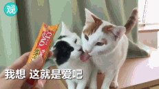 【前方高甜】我想 这就是爱吧